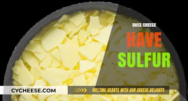 Does Cheese Contain Sulfur? Uncovering the Truth About Sulfur in Cheese