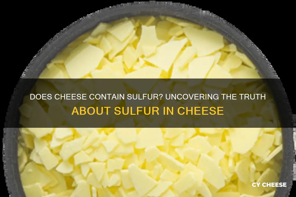 does cheese have sulfur