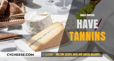 Does Cheese Contain Tannins? Unraveling the Myth and Facts