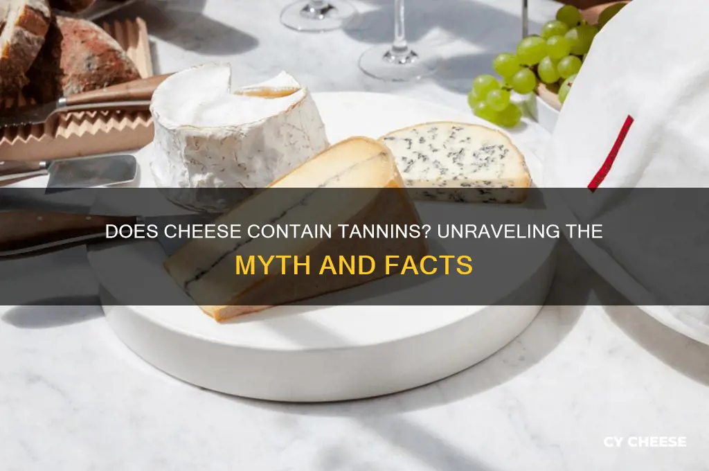 does cheese have tannins
