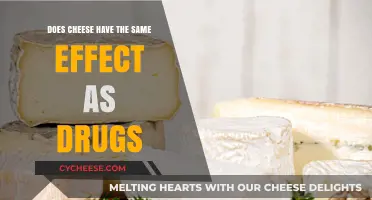Cheese vs. Drugs: Unraveling the Surprising Neurological Connections