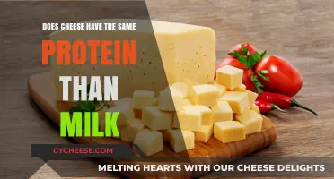 Cheese vs. Milk: Comparing Protein Content in Dairy Products