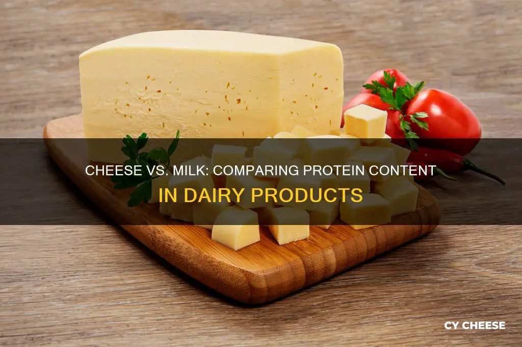 does cheese have the same protein than milk