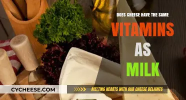Cheese vs. Milk: Comparing Vitamin Content and Nutritional Value