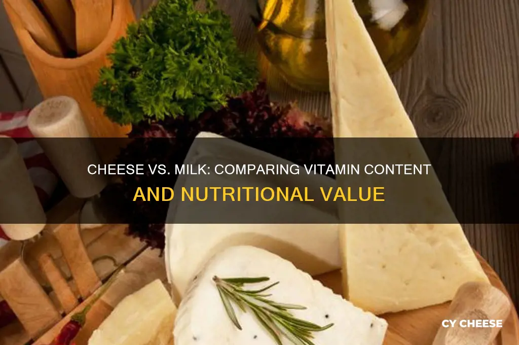 does cheese have the same vitamins as milk