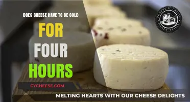 Does Cheese Need Refrigeration for Four Hours? Facts and Myths