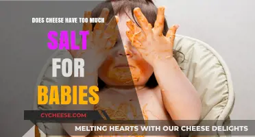 Is Cheese Too Salty for Babies? A Parent's Guide to Safe Snacking