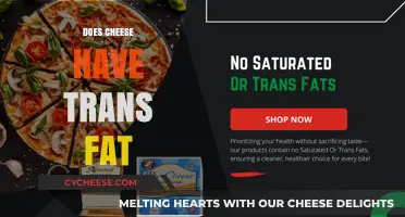 Does Cheese Contain Trans Fat? Uncovering the Truth About Your Favorite Dairy