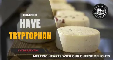 Does Cheese Have Tryptophan? Uncovering the Truth About This Dairy Delight