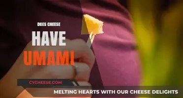 Exploring Umami: Does Cheese Unlock the Fifth Taste Sensation?