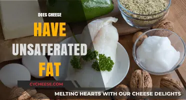 Does Cheese Contain Unsaturated Fat? Unraveling the Dairy Dilemma