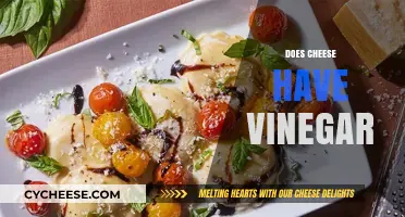 Does Cheese Contain Vinegar? Unraveling the Ingredients in Your Favorite Dairy