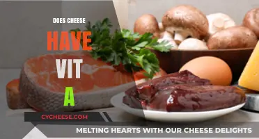Does Cheese Contain Vitamin A? Uncovering Nutritional Facts and Benefits