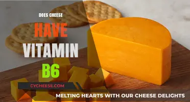 Does Cheese Contain Vitamin B6? Uncovering Nutritional Facts