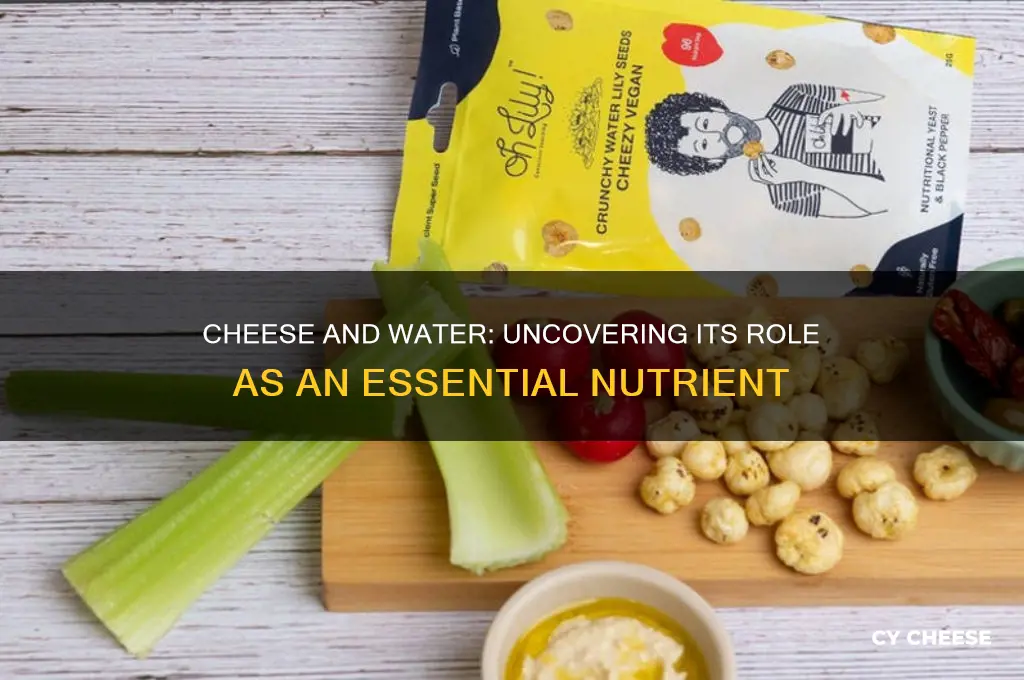 does cheese have water one of the six essential nutrients