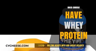Does Cheese Contain Whey Protein? Uncovering the Dairy Connection