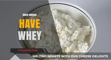 Does Cheese Have Whey? Uncovering the Truth Behind Dairy's Role