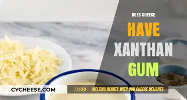 Does Cheese Contain Xanthan Gum? Uncovering the Truth About Ingredients