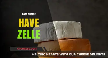 Does Cheese Have Zelle? Unraveling the Myth Behind Food and Apps