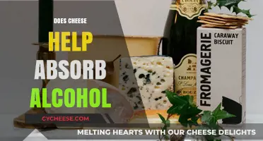 Cheese and Alcohol: Does Snacking Help Absorb Drinks Effectively?