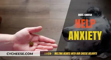 Cheese and Anxiety: Unraveling the Surprising Connection for Calmness