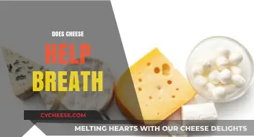 Cheese and Fresh Breath: Uncovering the Surprising Connection