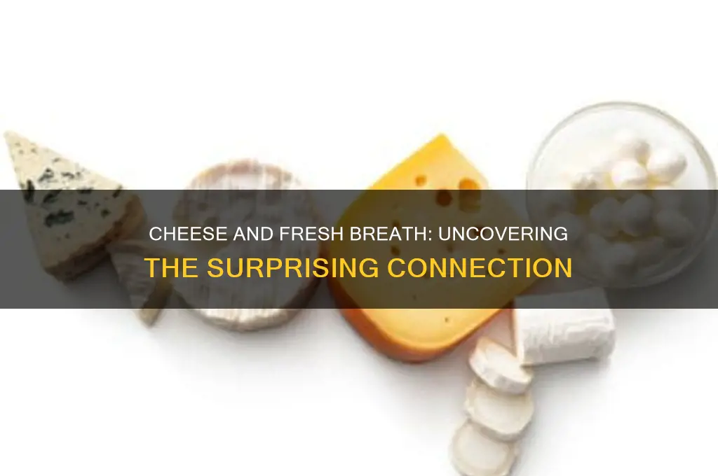 does cheese help breath