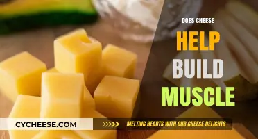 Can Cheese Boost Muscle Growth? Unlocking Dairy's Role in Fitness
