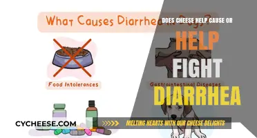 Cheese and Diarrhea: Does It Cause or Combat Digestive Issues?