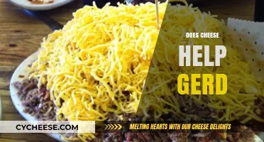 Can Cheese Soothe GERD Symptoms? Unraveling the Dairy Dilemma