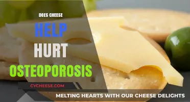 Can Cheese Consumption Impact Osteoporosis: Benefits or Risks Explained