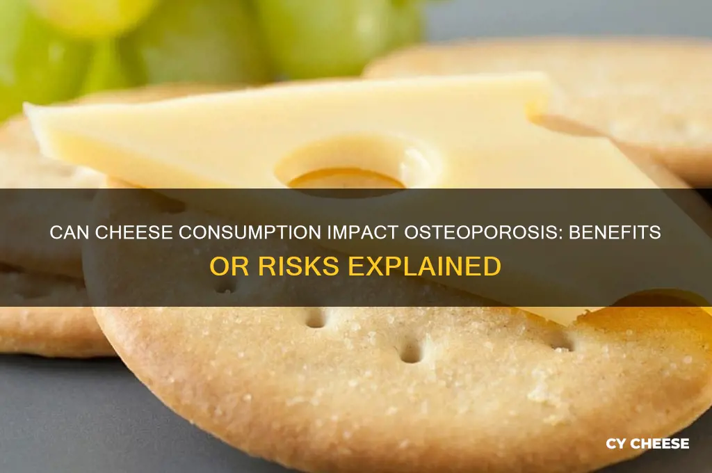 does cheese help hurt osteoporosis