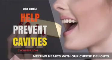Cheese and Cavities: Uncovering the Surprising Dental Health Benefits
