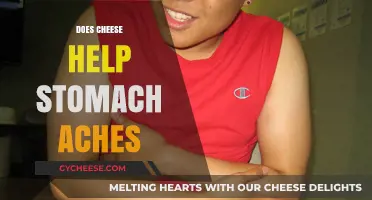 Can Cheese Soothe Stomach Aches? Exploring Dairy's Digestive Impact