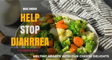 Can Cheese Cure Diarrhea? Exploring the Surprising Connection