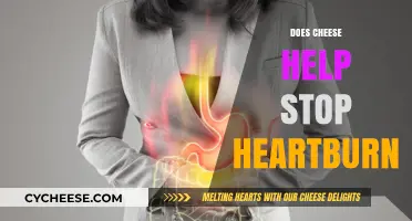 Can Cheese Calm Heartburn? Unraveling the Surprising Connection