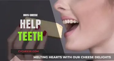 Cheese and Dental Health: Uncovering the Surprising Benefits for Your Teeth