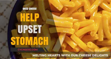 Can Cheese Soothe an Upset Stomach? Exploring the Surprising Truth