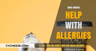 Can Cheese Ease Allergies? Exploring Dairy's Surprising Role in Relief