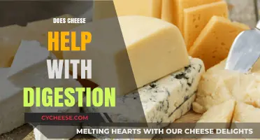 Can Cheese Boost Digestion? Unraveling the Surprising Gut Benefits