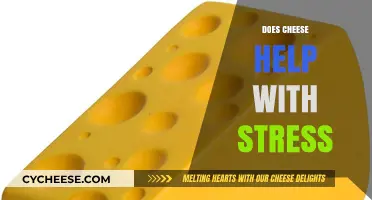 Cheese and Stress Relief: Uncovering the Surprising Connection to Relaxation