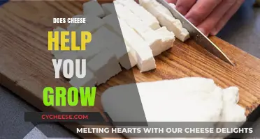 Does Cheese Boost Height? Unraveling the Myth of Dairy and Growth