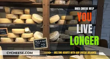 Cheese and Longevity: A Healthy Partnership?