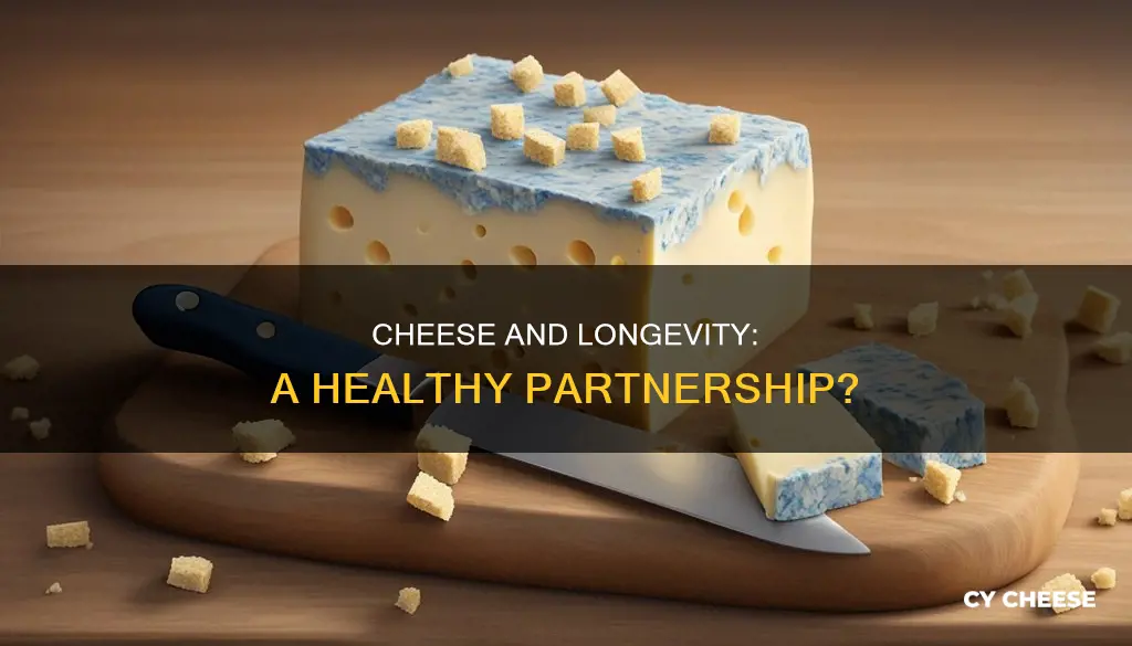 does cheese help you live longer