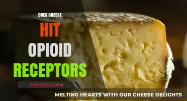 Cheese and Opioid Receptors: Unraveling the Science Behind the Myth