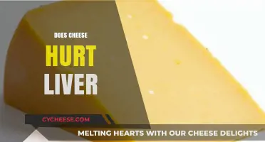 Does Cheese Harm Your Liver? Uncovering the Facts and Myths