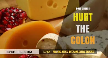 Cheese and Colon Health: Debunking Myths and Understanding Impact