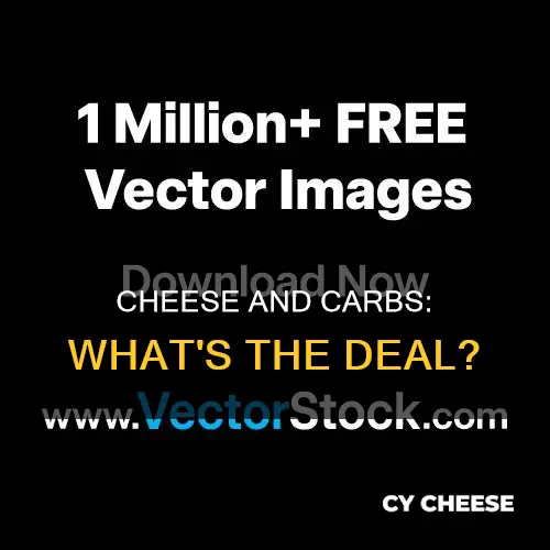 does cheese hvae carbs