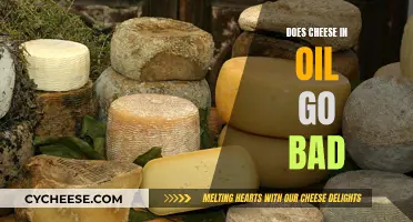 Cheese in Oil: How Long Does It Last?