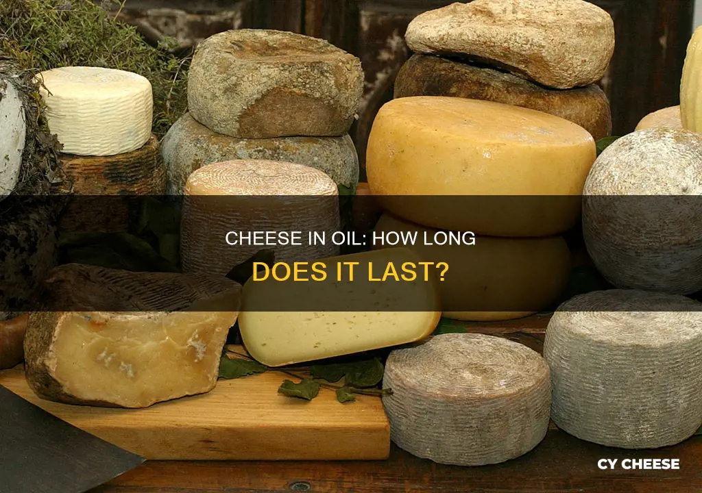 does cheese in oil go bad
